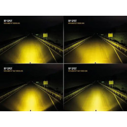 Buy Lazer RP SPOT 00RP-SPOT