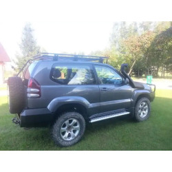 Buy Protective Thresholds for Toyota Prado 125 02-09 F4X4