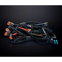 Купити Проводка Strands Siberia для 4 ламп макс. 30А, 650Вт, роз'єм DT 12В