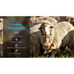 Купити Шкарпетки водонепроникні Dexshell Hytherm Pro Socks, розмір М (39-42), чорні з коричневою смугою