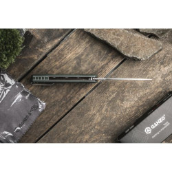 Купити Ніж складаний Ganzo G769-GR