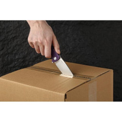 Купити Ніж складаний Ganzo G769-PL