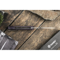 Купити Ніж складаний Ganzo G769-PL