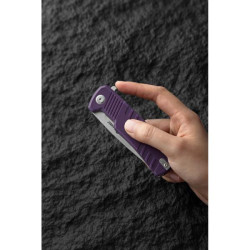 Купити Ніж складаний Ganzo G769-PL