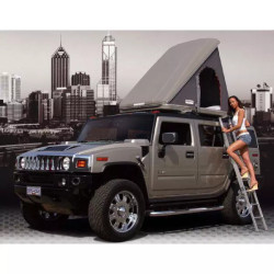 Купить Автопалатка Autohome Columbus Carbon Fiber Small