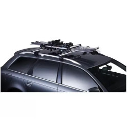 Купить Крепления для лыж и сноубордов Thule DELUXE TH-726