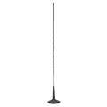 Buy Magnetic Siba Antenna President Gwyooming UP AMMII209