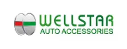 Накладки на дзеркала хромована Wellstar Toyota Prado 03+ brand image