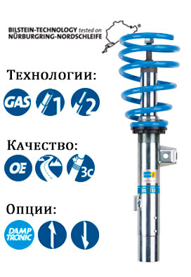 Стоимость амортизатора BILSTEIN B14 PSS