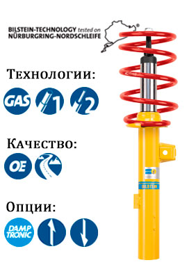 Купить амортизатор B12 SPORTLINE