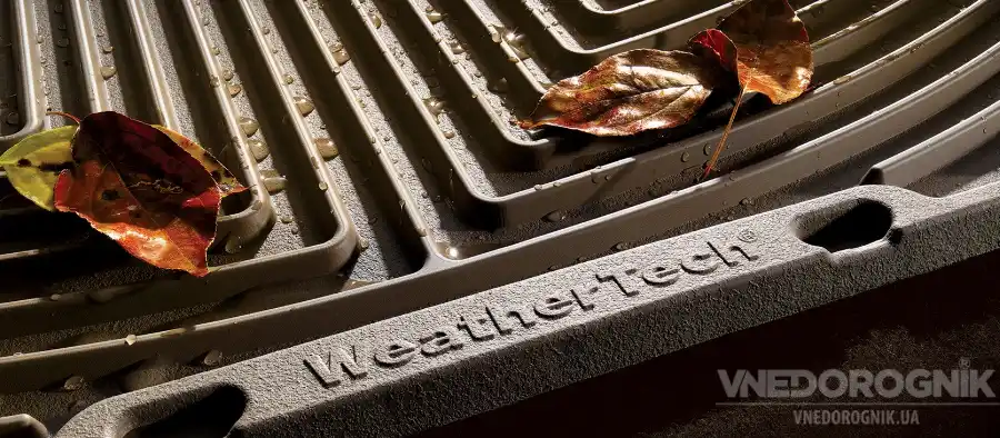 Килимки для Ford Ranger 2023 ціна купити з доставкою