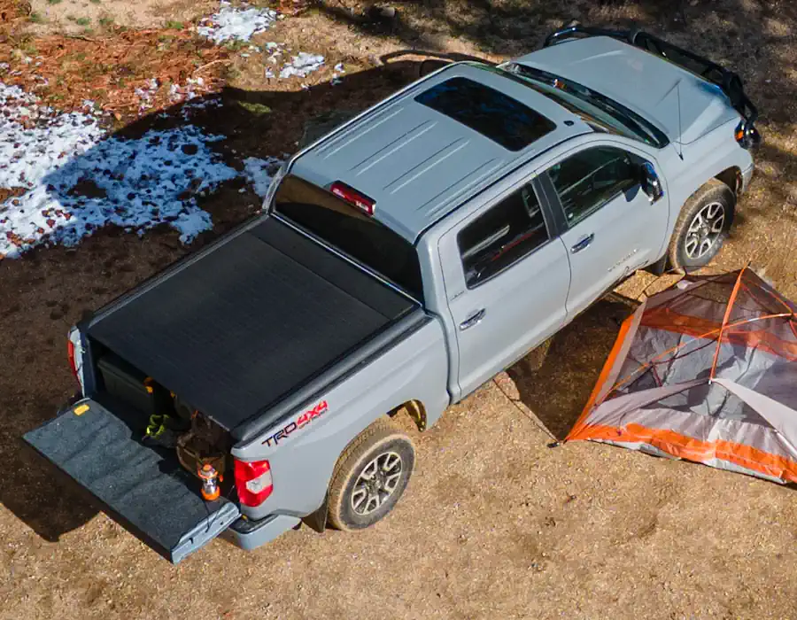 Види ролетів для Toyota Tundra